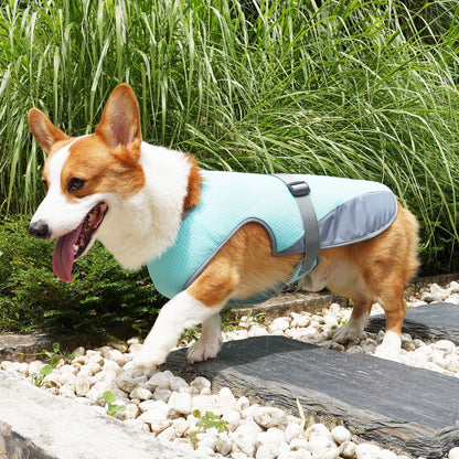 Roam-Ready Cooling Pet Jacket