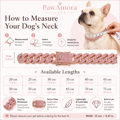 PawAmora Luxe dog collar measurement guide with a dog wearing the collar.